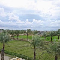 20دونم للبيع طابو ملك صرف سند مستقل بغداد أبي غريب منطقة الشيحة مباشر ...