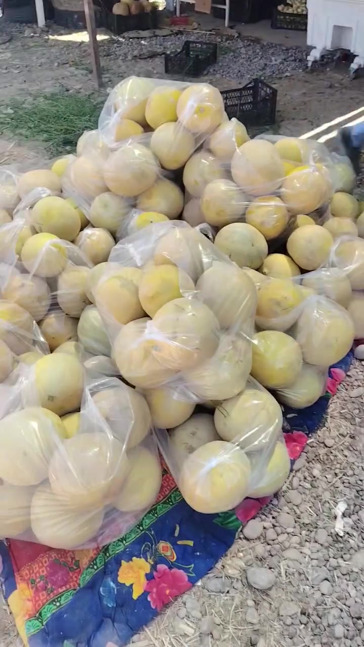 علوه اولاد الطلب الموقع اسديره طق طق مجاور سيراميك البوفريد
اسعار مناسبه
الله يحيكم
المعاميل


**إذا كنت صاحب هذا الإعلان وتريد حذفه لأي سبب، رجاءا أرسل رسالة إلى الدعم الفني**
