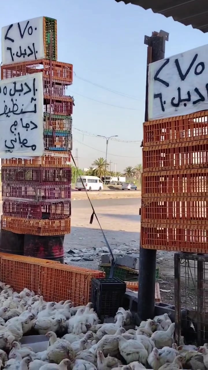 علوة دجاج علاء الله ماصلي علا محمد والي محمد


**إذا كنت صاحب هذا الإعلان وتريد حذفه لأي سبب، رجاءا أرسل رسالة إلى الدعم الفني**