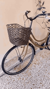 السلام عليكم بايسكل للبيع جديد حيل نظافه 100 جير ست نمرات السعر 140 وفي مجال مال الجه رشيديه واللي يريد يخابرني ‏‪0751 762 9816‬‏يدلل
