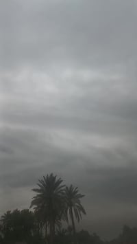 ارشه ٤كير • مكفوله • المسيب