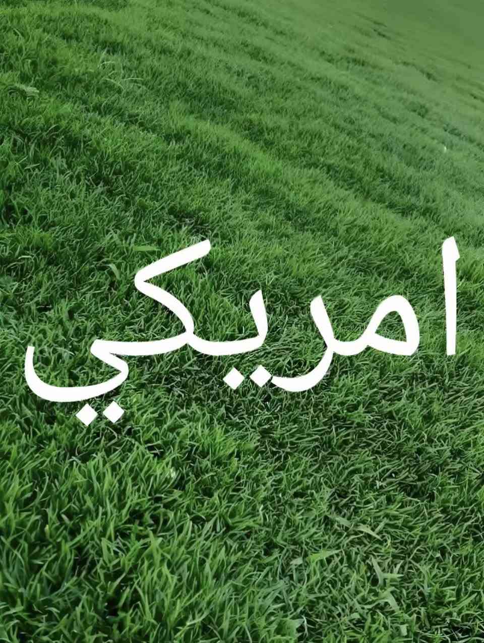 ثيل ديالى 🍀 متوفر كافة انواع الثيل
الثيل امريكي والهندي و الثيل الايطالي و الثيل الفرنسي
كادر متخصص :
لتجهيز... مشاتل🌴
والدوائر الحكوميه🏦
المنازل🏡 المنتزهات🏄
موجود خدمة توصيل 🚕
لكل محافظات العراق🚕
للأستفسار 
***********
