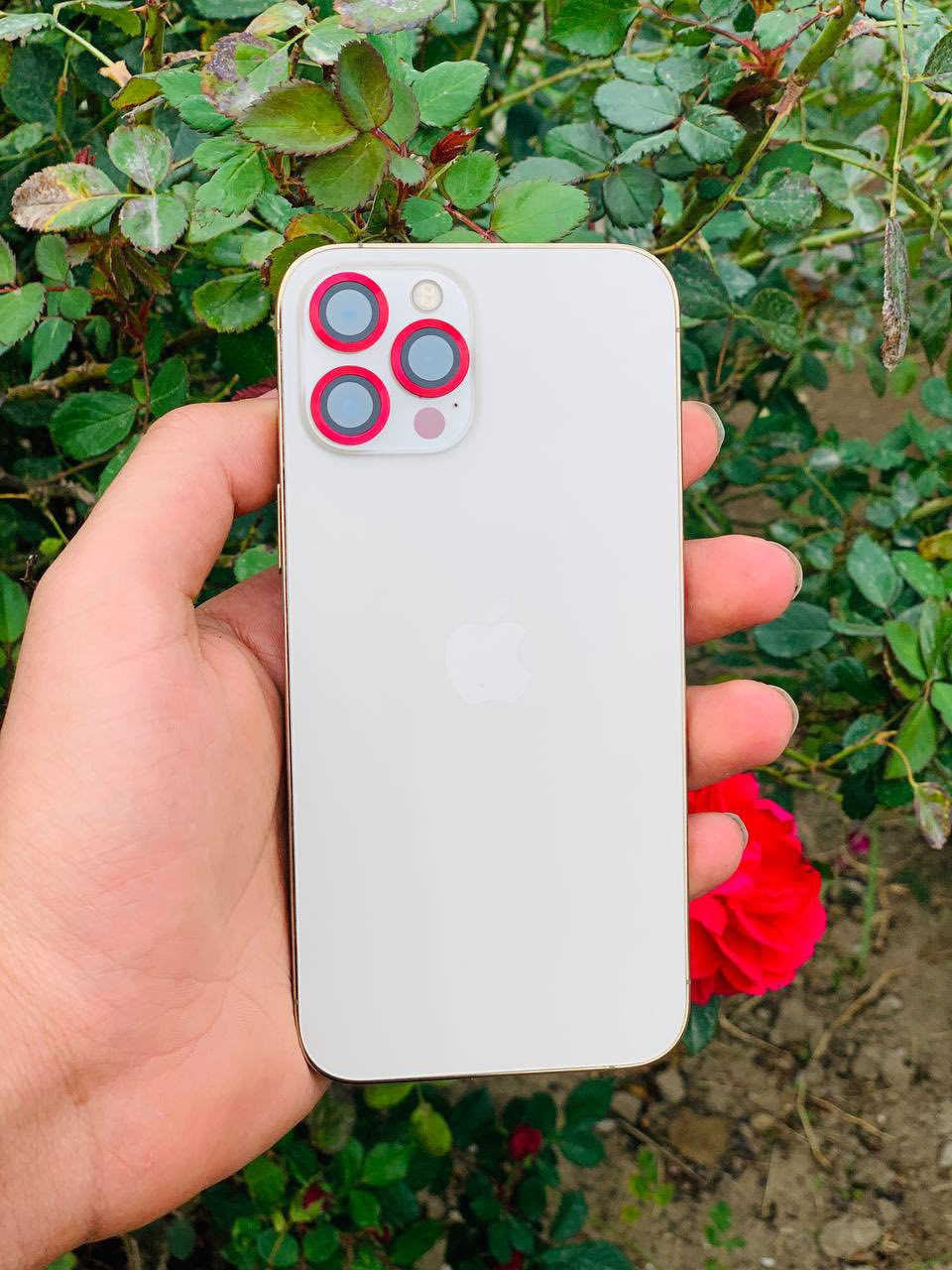 السلام عليكم
ايفون 12 برو ماكس ✅.     (بيع ومراوس )

جهاز شريحتين يعني خطين ✅

نسبه البطاريه 84✅

وضع شركه ➡️✅

ذاكره 128✅

فقط فيس ايدي متوقف في التحديث ➡️⚠️

الجهاز كفاله عامه من الزلغ ✅

السعر (450)بي مجال شي قليل جدا 👉

***********

عنوان  ديوانية دغاره
