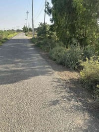 للبيع ٤ دوانم طابو ملك صرف واجهيه ٥٠ونزال٢٠٠ ارض صالحه للزراعه متوفر ف...