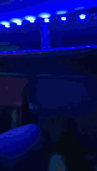 السلام عليكم مسيبوشي للبيع
سياره جاهزه من كلشي كير مكينه تبريد حداديه تخم تاير كهربائيات 
سياره بسمي مداور ثاني يوم رقم نجف الماني 
للاستفسار اكثر ***********
مكان السياره ديوانية
