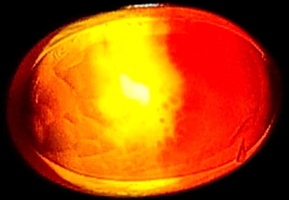 الي يرغب يراسلني خاص


**إذا كنت صاحب هذا الإعلان وتريد حذفه لأي سبب، رجاءا أرسل رسالة إلى الدعم الفني**