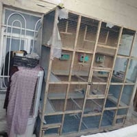 07732436177 متاح