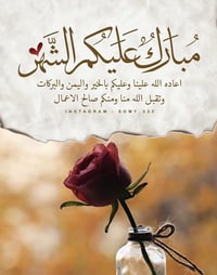 منطقة الوجهيه • ٢٥٠م • سند باسمك مباشر