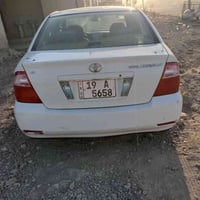 كورلا بيكاتشو • رقم كربلاء • سنوية ٢٠٢٨