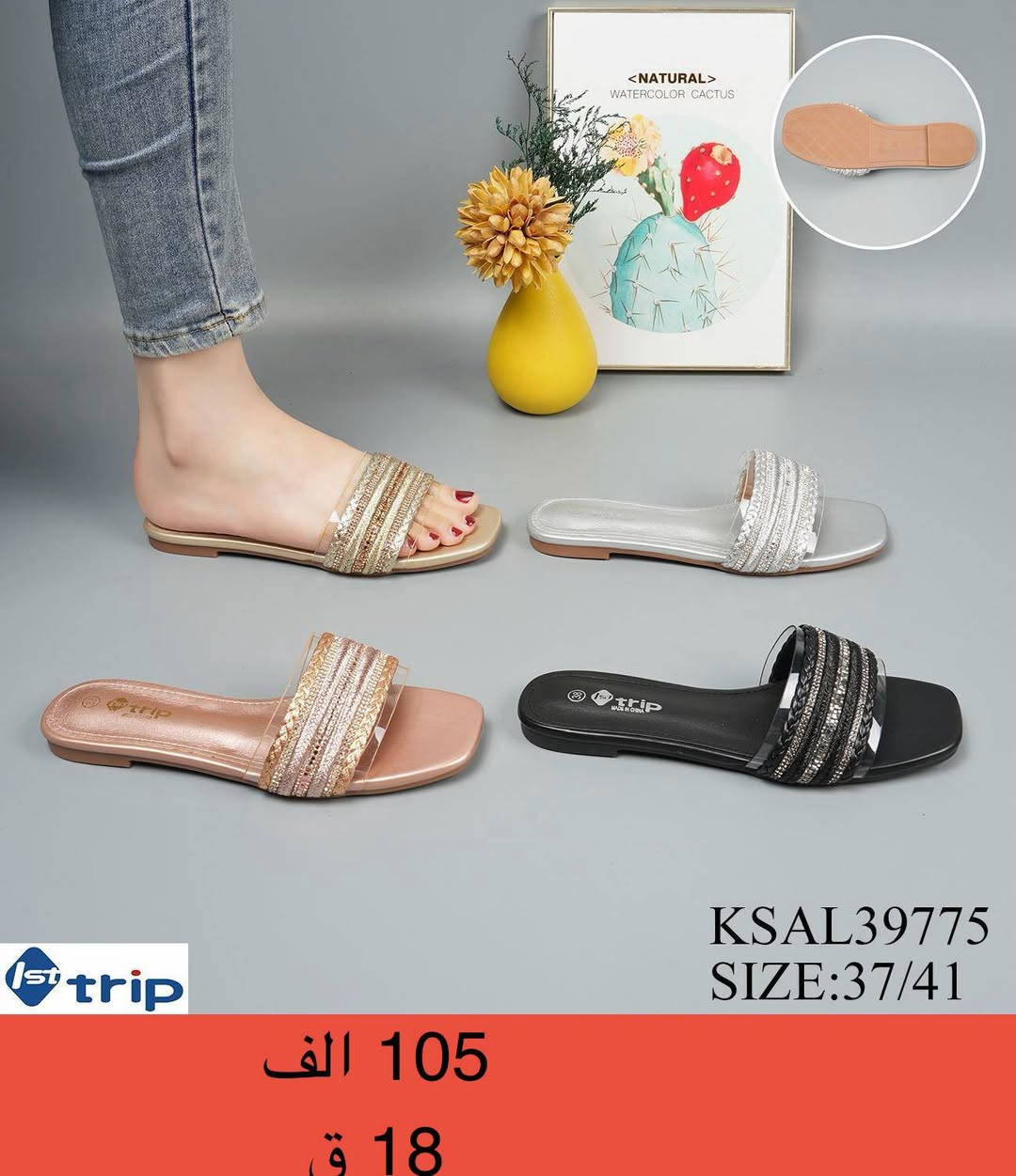 🗣️شحاط نسائي🗣️

🔐التفاصيل داخل الصوره🔐

〽️اقل طلب 6 قطع〽️


**إذا كنت صاحب هذا الإعلان وتريد حذفه لأي سبب، رجاءا أرسل رسالة إلى الدعم الفني**