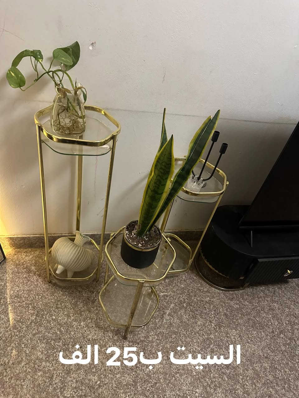 للبيع العنوان حي الخضراء


**إذا كنت صاحب هذا الإعلان وتريد حذفه لأي سبب، رجاءا أرسل رسالة إلى الدعم الفني**