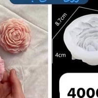 قوالب ورد • جوري • توليب