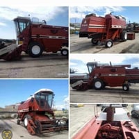 حاصودة • لافيردا • تلعفر