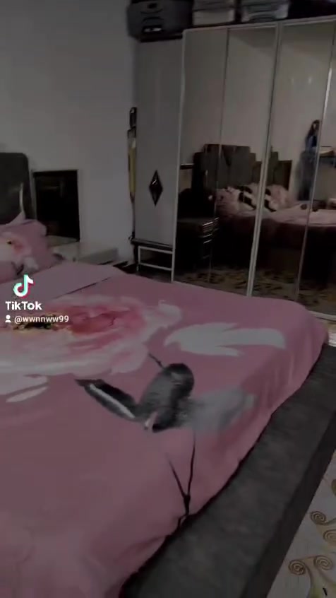 للبيع ب مليون وبيها مجال مشتريتها ب مليونين وربع   مو تركي خشب ماليزي


**إذا كنت صاحب هذا الإعلان وتريد حذفه لأي سبب، رجاءا أرسل رسالة إلى الدعم الفني**