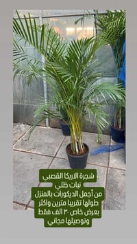 أريكة قصبي • ٢م • توصيل مجاني