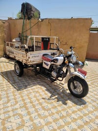 ستوته • ٢٠١٤ • اوراق اصولي