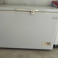 من رخصت الادمن متاح مجمدة للبيع نظافة 90/حجم 14/علشغل والتجميد شرط سعر...