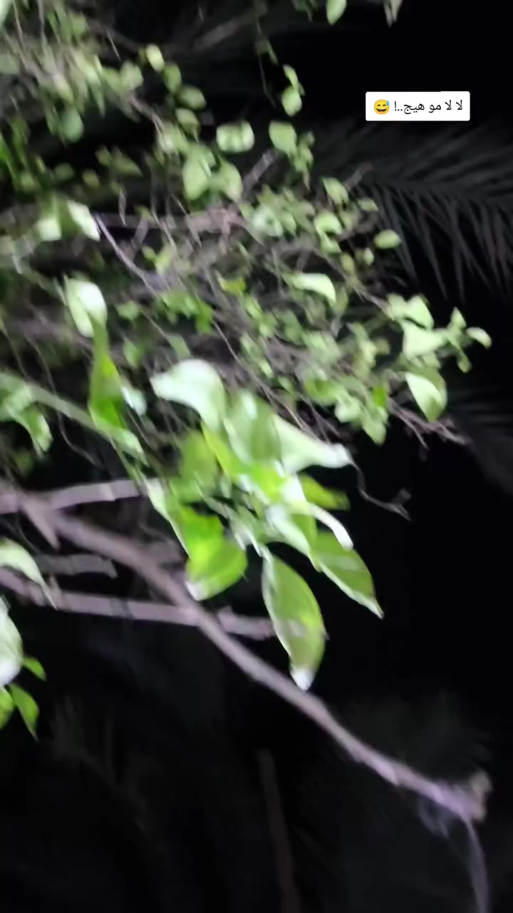 السلام عليكم سايبه للبيع موديل 11 سياره كفاله  من صبغ من ضربه مكينه وكير مكفولات حداديه ٧٠ ٠/٠ شواصي مكفولات سياره جاهزه على اخير حبايه كبل تنكر سويج وتطلع ربع ماتذب عليه السعر 23 وبيه مجال حك الجيه  السكن الدوانيه قضاء الشاميه ***********
