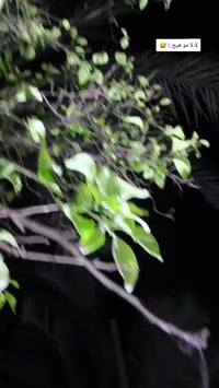 موديل ٢٠١١ • مكفولة مكينة وكير • الدوانيه