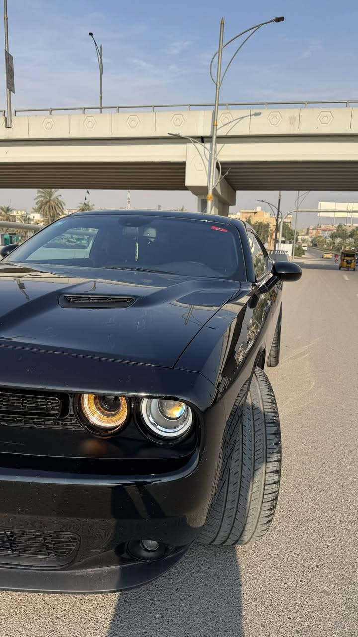 يا الله اللهم صل على محمد وال محمد

دوج جالنجر موديل 2023
اخر اصدار sxt
شاشه وسط
سستم سماعات الباين

السياره بيها جاملغ خلفي راجع نفسه تعمير درجه اولى على ايدي 
السياره ما بيها ايرباك ولا دواخل
فقط نص جاملغ
ماشيه 47 الف ميل
***********
مكاني بغداد شارع المغرب 
سعرها 227 قفل
