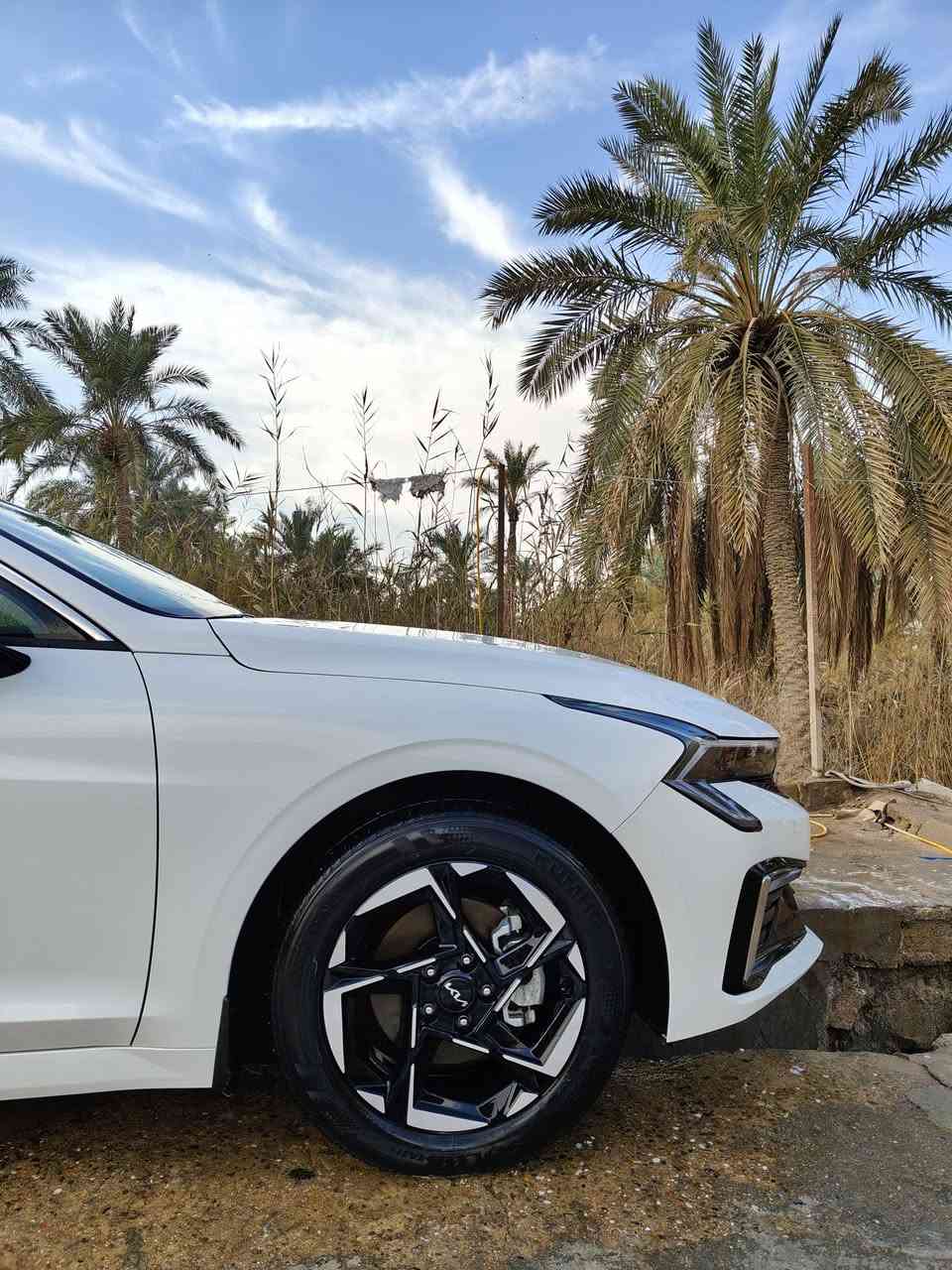 اوبتيماk5موديل 2024....خليجي فول مواصفات..مكفوله كفاله عامه..من كلشي...عدى تكحيل بسيط كلش بلدعاميه تقريبا سانتيمين....رقم اربيل الدولي...باسم ولد..وانا عندي وكاله عامه اكدر احولك...
السيارة جديده كلش...***********
....
235....$$$
