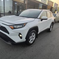 رافور XLE • ٢٠١٩ • رقم اربيل