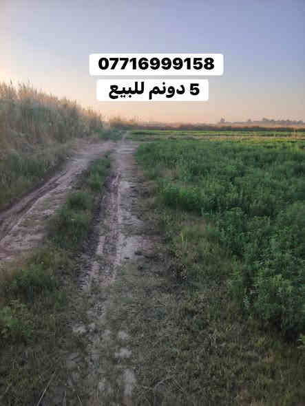 السلام عليكم.                   إعلان رقم 143
ارض زراعيه للبيع المساحه الكليه 5 دونم 
زراعي 
الابعاد 
الوجه78م ونص                  النزال 150م 
السعر مناسب جدا للاستفسار والطلب يرجى التواصل على الرقم 
الموقع بغداد منطقة الراشدية قرب مشروع ماء الزهور 

*********** 
ابو مصطفى العبيدي
