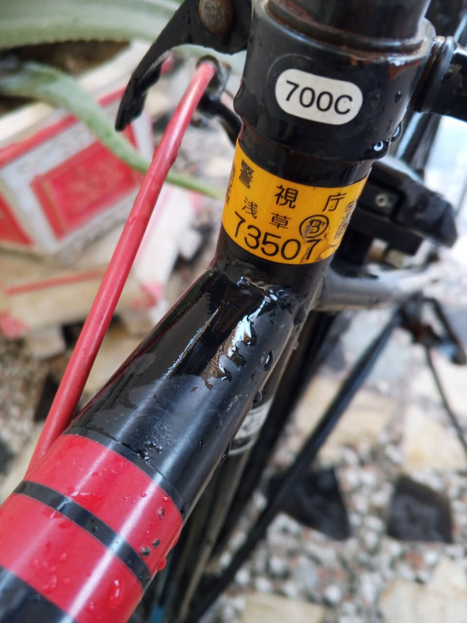 السلام عليكم C700 متروك فترة ما استخدمة ياباني كل ملحقاتة موجود بالصور , رايدة بـ 120 وبي مجال مكاني بغداد العبيدي


**إذا كنت صاحب هذا الإعلان وتريد حذفه لأي سبب، رجاءا أرسل رسالة إلى الدعم الفني**