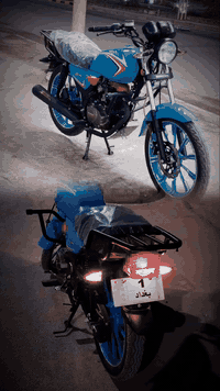 شاينك • موديل 2023 • أوراق أصلية