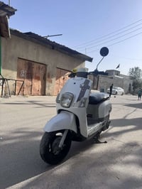 ماكس بوليس • بصرة كرمة علي • كفالة