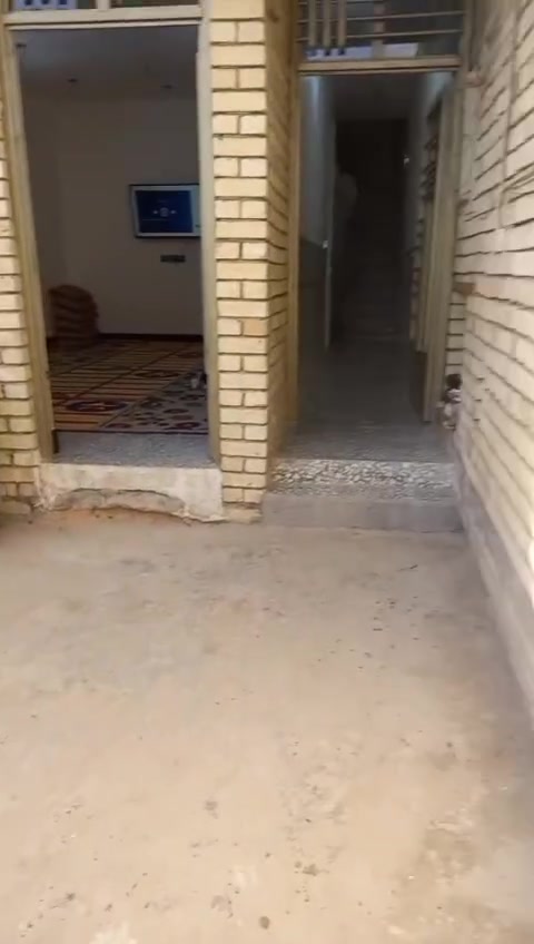 السلام عليكم من رخصت الادمن بيت حي السفير مساحه 125طابق ونص قرب سوق العبيدي لل استفسار اتصل عله هاذ الرقم ***********
