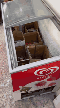 السلام عليكم
للبيع 
مجمده طرحية
السعر 250 
مكاني نجف كوفة
الهاتف/***********
