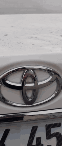 أمير المكصوصي رقم الهاتف 07705395803 العنوان بغداد حي العامل قرب حسينه...