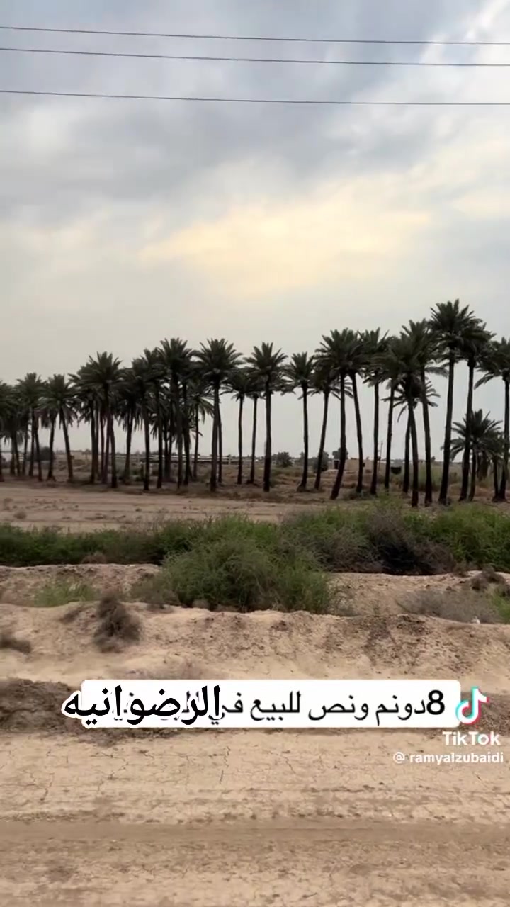 بستان  8 دوانم ونص للبيع طابو زراعي سند 25 مكان رضوانيه قرب لواء 55 على سريع الدولي للاتصال ***********
***********
