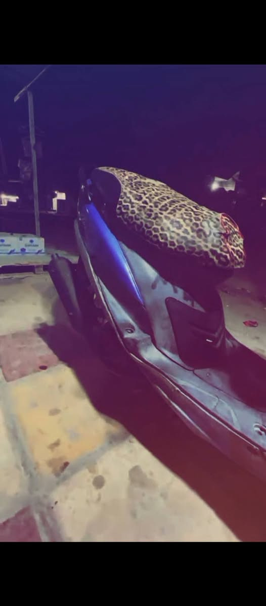 مـاكـس منغـولـي للبـيع 
الـدراجه مامفتوحـه 
بوشه 49 بلاد
السـعر 600 وبيها مجال قليل 
عنوان نجف حي مـيسان 
شرايي الخاص مفتوح


**إذا كنت صاحب هذا الإعلان وتريد حذفه لأي سبب، رجاءا أرسل رسالة إلى الدعم الفني**