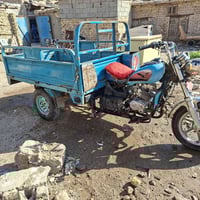 الصقر • موديل ١٩ • الكوت