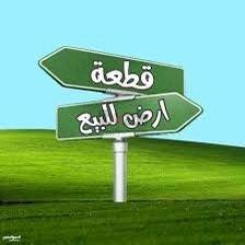 ارض زراعية للبيع  في الصقلاوية 
البوشجل _ ارميلة قرب جامع  صلاح الدين الايوبي كامل خدمات ماء كهرباء 
مساحة  الارض 5600متر 
دونمين و600متر 
للأستفسار يرجى الاتصال
***********
