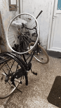 سلام عليكم مكلف بالنشر
باسكل بطه 
نسبه نظافه  100%
حاويه بلادي برغي ما عايز
السعر 125 وبي مجال 
اذا شراي تدلل من ناحيه السعر
مكاني النجف حي السلام خلف مدارس بانيقيا
متواجد واتساب  0750 679 4039‬
