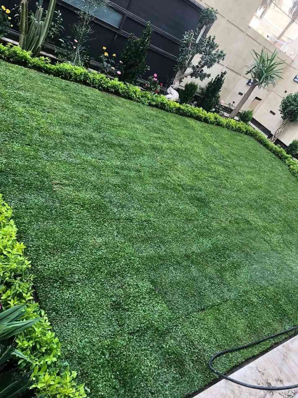 #الاسعار يمنه صارت تنافسية  🔥
#متوفر كافة انواع الثيل  الطبيعي
الثيل الامريكي 🌳 الثيل الهندي 🌲 الثيل الايطالي  🌿 ثيل فرنسي🌱 ثيل  
#تجهيز...👇👇👇 
مشاتل 🌴 ملاعب 🏟️🏟️ دوائر حكوميه 🏦 منازل🏘️ منتزهات 🎢 جزرات 🛣️
#اسعار خاصه 
🚚🚛 موجود خدمة توصيل (مجاني)
#للطلب التواصل مع الصفحة أو تصال على رقم 
ويوجد وتساب علا هاذا الرقم(***********)
