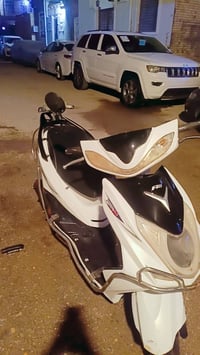 سكنس ثعلب • نثيه • نضيفه