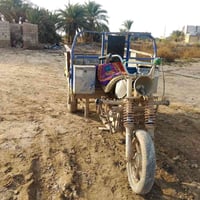 ستوته • محرك نضيف • أوراق