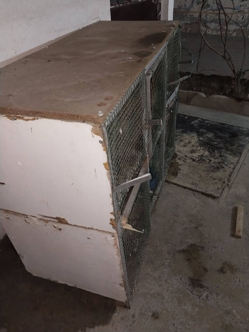 فقص البيع السعر 40 الف


**إذا كنت صاحب هذا الإعلان وتريد حذفه لأي سبب، رجاءا أرسل رسالة إلى الدعم الفني**