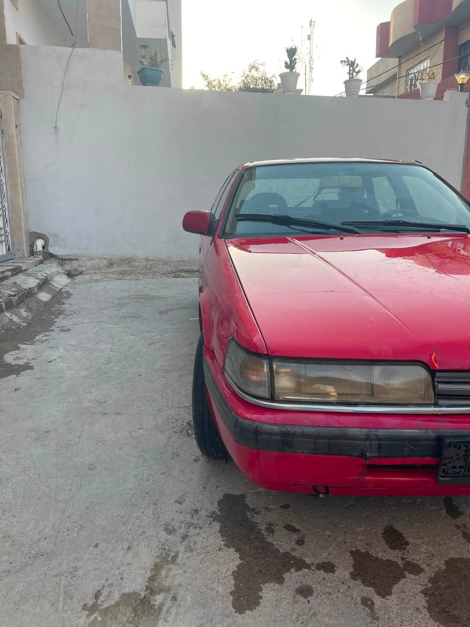 للبيع فقط
السلام عليكم مازدا 626موديل1991محرك4 سلندر محرك8 بخاخات المرغوب بشرط لا صرف ولا نفخ 
كير عينه كلج كلها جديده جواها طخم تاير جديد طخم امامي خلفي جديد سياره جاهزه شرط  التحويل سنويه عضم الي 2027رقم الماني بدون صبغ فقط بيها بل سقف حسبت شبرين اثر جراد كهربائيات كلها شغالات داخلها نضيف جديد كشنات بطائن شاشه بيها سماعات شغاله ارضيات جديد مغلفها جلد جامات كهرب سياره ربع ما تصرف عليها السعر 36 وبيها مجال شراي اتصل***********
