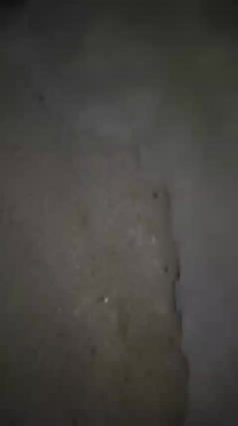 بيت 120 مترمنطقه العوفيه  قاطين بناء حديث جديد على شارع 20 مسافه عن السائدين مال ابو رمانه 100 متر مدرسه ابتدائيه ولد وبنات مقابيله يحتوي البيت على صحيات خارجيه قاط الاول استقبال ومطبخ  حار وبارد وصاله  غرفه مع النوم صحيات داخليه غاط الاول القاطع الثاني بغرفتين  عوزهن لبخ وبياض وصحيات السطح كاشي شغل درجه اولى علما ان البيت مطلوب اسكان 29 مليون القصد مالته بالشهر تدفع 170 الف  لاستفسار على واتساب او تصال***********
