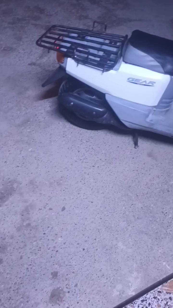 لبيع السعر 250


**إذا كنت صاحب هذا الإعلان وتريد حذفه لأي سبب، رجاءا أرسل رسالة إلى الدعم الفني**