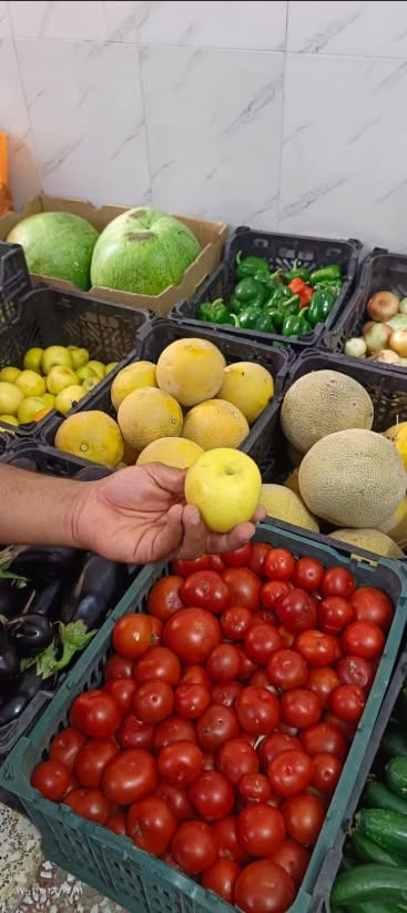 حر الصيف عوفه علينا.. ومسواكك يوصل لِـ باب بيتك! ☀️🍅

السلام عليكم .. تحية طيبة لأهلنا . ✨

احتراماً لوقتكم وما نريد تعبكم بهذا الحر والسموم، وبدل ما تطلعون وتتعبون بالأسواق، إحنا راح نريحكم! مسواككم اليومي من الخضروات والفواكه الطازجة والدرجة أولى (طماطة، خيار، باذنجان، وكلشي يحتاجه المطبخ العراقي) صار يوصلكم مثل ما تحبون وبأعلى جودة.

💡 ليش تختارنا؟
✅ توصيل سريع: نغطي كل مناطق الديوانية وبدون تأخير.
✅ بضاعة مكفولة 100%: القطعة الماتعجبكم ترجع فوراً وما يكون خاطركم إلا طيب، لأن رضاكم هو هدفنا الأول.
✅ الأمانة والثقة: ثقتكم بينا هي رأس مالنا الحقيقي.

لا تتعب نفسك بالطلعة.. راسلنا هسة على الواتساب وإحنا بخدمتك ونجهزك بأفضل ما يكون 👇
📱 ***********
