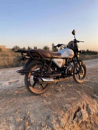 فول • أوراق كامله • مكان الخالص