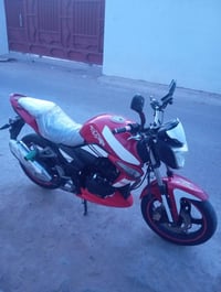 سايم • بطحه • شغال