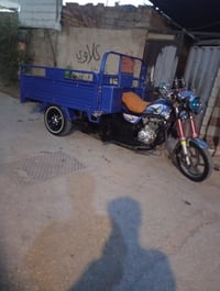 ستوته • للبيع • شراي