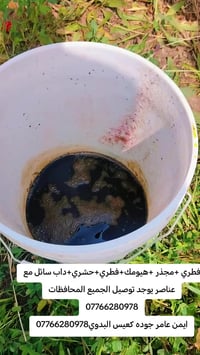 مجذر ب5  الف دينار فطري ب5  بالف دينار هيومك ب5 بالف دينار عناصر ب7 ال...